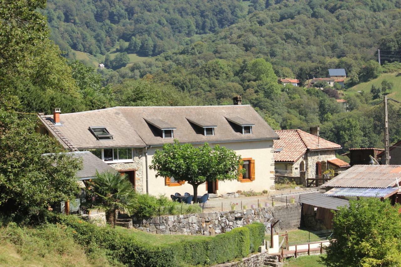Maison du Coué Pyrénées Mourtis Sengouagnet Extérieur photo